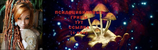 мяу мяу мука Богородск