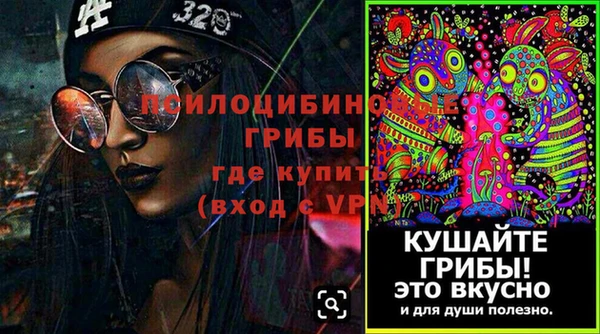 трава Белокуриха