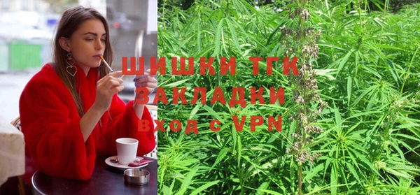 тгк Богородицк