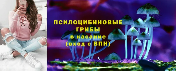 марки nbome Богданович