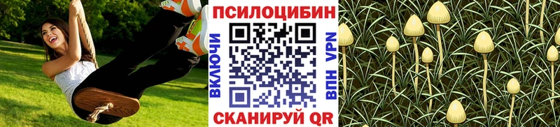 Галлюциногенные грибы Psilocybe  купить наркоту  гидра зеркало  Неман 
